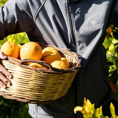 Donna Carmela & Hotel 4*