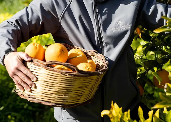 Donna Carmela & Hotel 4*